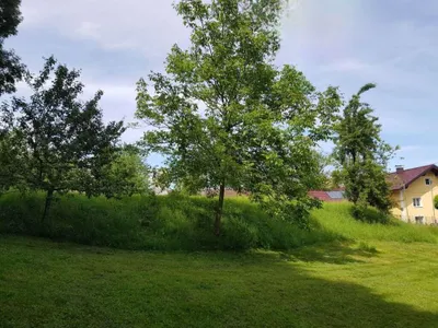 Grundstück kaufen in Braunau am Inn – 3 201 m², € 149.000 – Bild 4 von 9