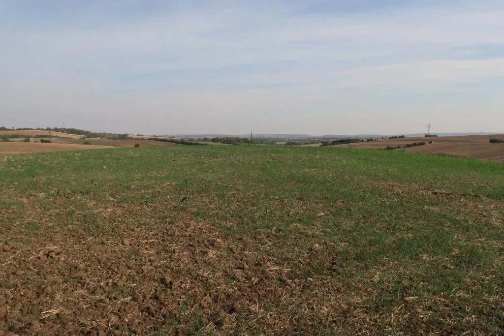 Landwirtschaftliche Grundstücke (Ackerbau) in Höbersbrunn - Ansicht 2