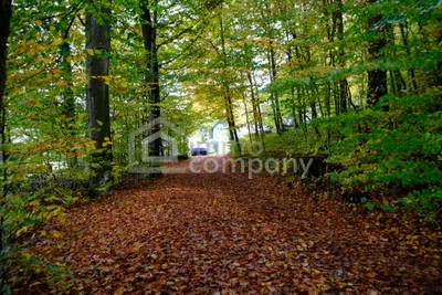 Haus kaufen in Klagenfurt Land – 69 m², € 375.000 – Bild 4 von 56