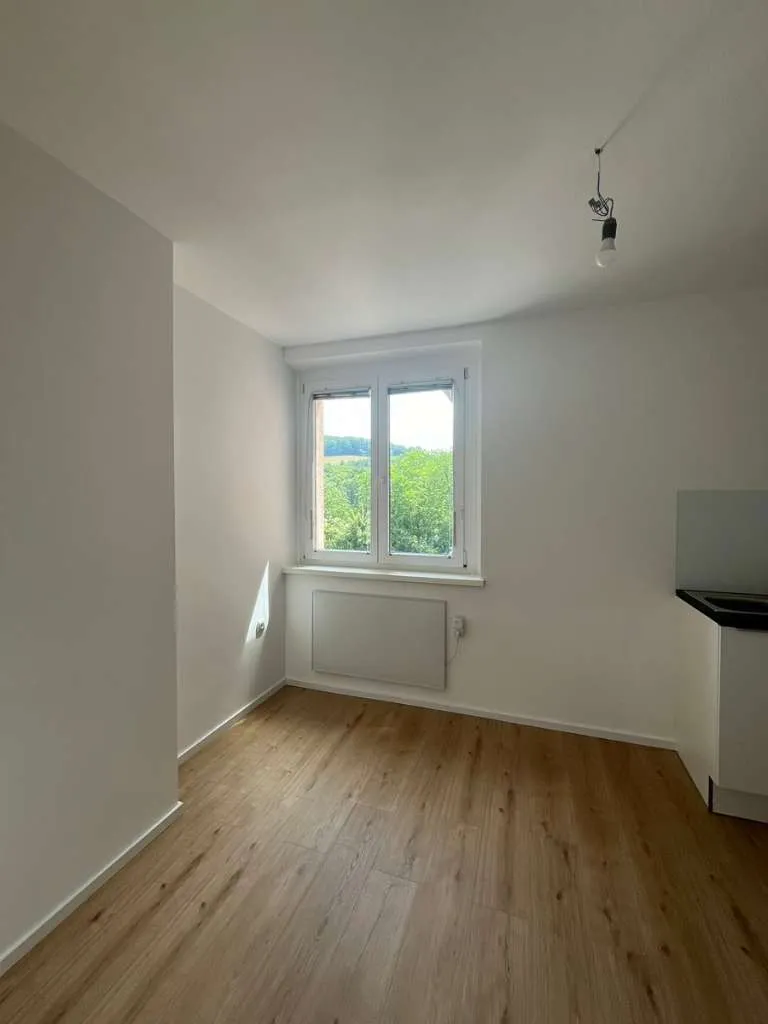 Schöne 2,5-Zimmer Wohnung im Zentrum von Eichgraben zu vermieten - Ansicht 3