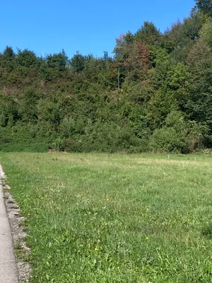 Grundstück kaufen in Vöcklabruck – 744 m², € 163.680