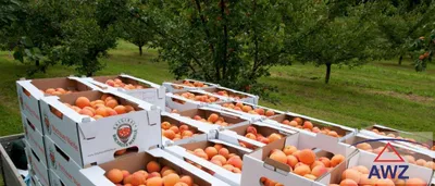 Grundstück kaufen in Krems Land – 81 000 m² – Bild 3 von 6