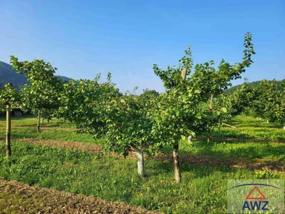 Grundstück kaufen in Krems Land – 81 000 m² – Bild 6 von 6