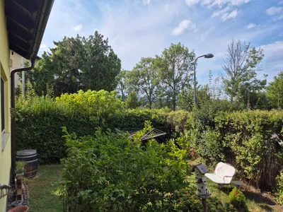 Mitbewohner: in für Gartenwohnung in Einfamilienhaus in Mauer gesucht – Bild 3