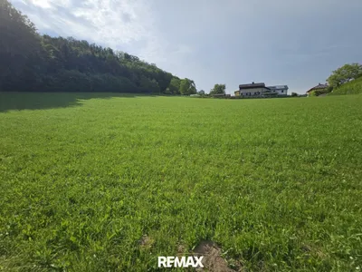 Immobilie kaufen in Urfahr-Umgebung – 6 719 m², € 2.900.000 – Bild 2 von 16