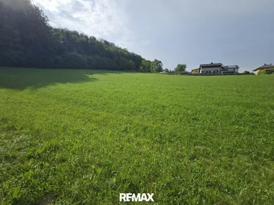 Immobilie kaufen in Urfahr-Umgebung – 6 719 m², € 2.900.000 – Bild 15 von 16
