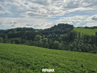 Immobilie kaufen in Urfahr-Umgebung – 6 719 m², € 2.900.000 – Bild 12 von 16