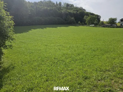 Immobilie kaufen in Urfahr-Umgebung – 6 719 m², € 2.900.000 – Bild 6 von 16