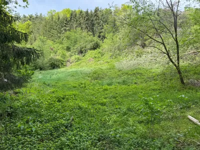 8-Zimmer-Haus kaufen in Weiz – 350 m², € 429.000 – Bild 8 von 8