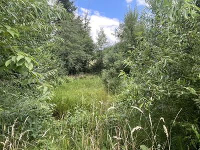 Grundstück kaufen in Hartberg-Fürstenfeld – 101 622 m², € 698.000 – Bild 13 von 17