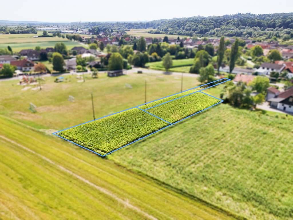 Altenmarkt bei Fürstenfeld: Sonniges Baugrundstück in schöner Siedlungsrandlage - Vaade 2