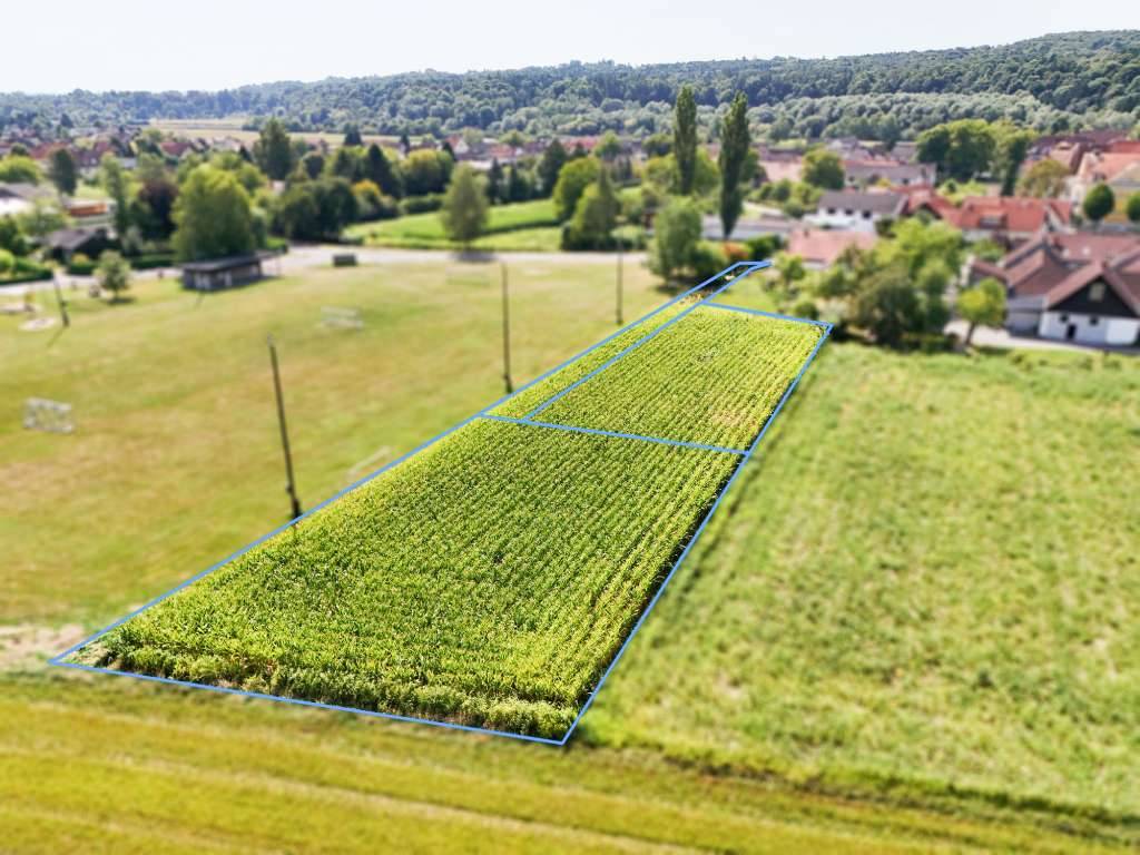 Altenmarkt bei Fürstenfeld: Sonniges Baugrundstück in schöner Siedlungsrandlage - Vaade 3
