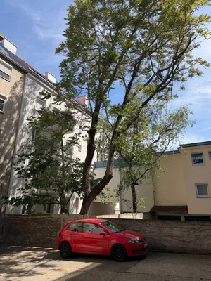 3-Zimmer-Wohnung mieten in Wien – 65 m², € 1.113 – Bild 15 von 15