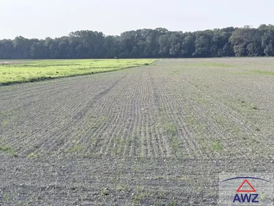 Grundstück kaufen in Gänserndorf – 32 056 m² – Bild 4 von 4