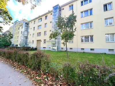 ++ NEU ++ DREI Zimmer in GRÜNRUHELAGE - Alszeile 1170 Wien – Bild 3