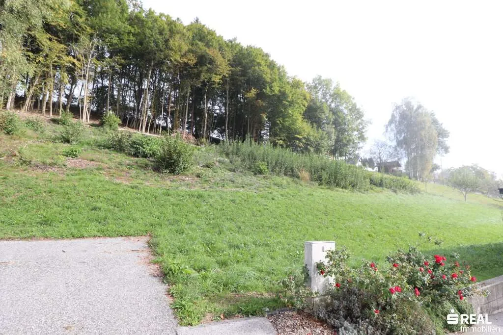 Baugrundstück mit traumhafter Aussicht in Ludmannsdorf zu verkaufen! – pohled 2