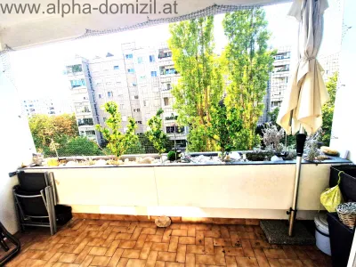 3-Zimmer-Wohnung kaufen in Mödling – 90 m², € 320.000 – Bild 3 von 8