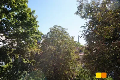 5-Zimmer-Wohnung mieten in Wien – 228 m², € 3.935 – Bild 22 von 25