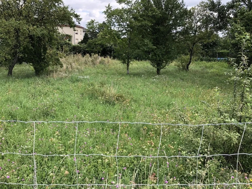TRAUMHAFTES BAUGRUNDSTÜCK IN PERCHTOLDSDORF FÜR IHR EIGENHEIM - Ansicht 3