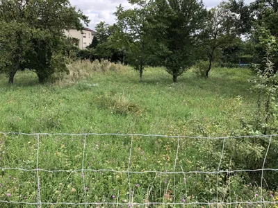 Grundstück kaufen in Mödling – 609 m², € 585.000 – Bild 3 von 7