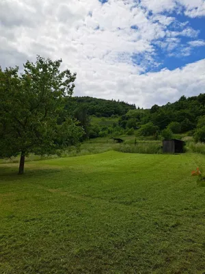 Haus kaufen in Krems Land – 4 715 m², € 430.000 – Bild 8 von 22
