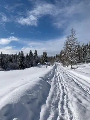 Grundstück kaufen in Österreich – 400 m², € 285.000 – Bild 51 von 67