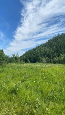 Grundstück kaufen in Österreich – 400 m², € 285.000 – Bild 39 von 67