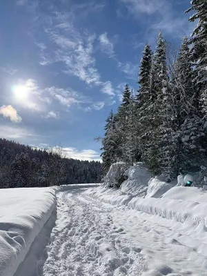 Grundstück kaufen in Österreich – 400 m², € 285.000 – Bild 54 von 67