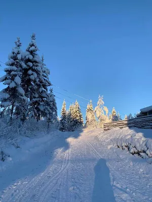 Grundstück kaufen in Österreich – 400 m², € 285.000 – Bild 59 von 67