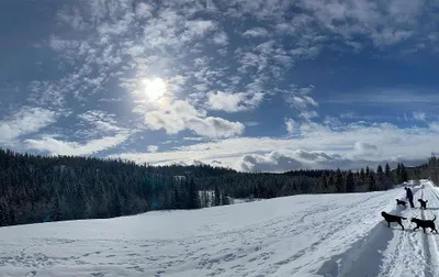 Grundstück kaufen in Österreich – 400 m², € 285.000 – Bild 52 von 67