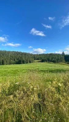 Grundstück kaufen in Österreich – 400 m², € 285.000 – Bild 42 von 67