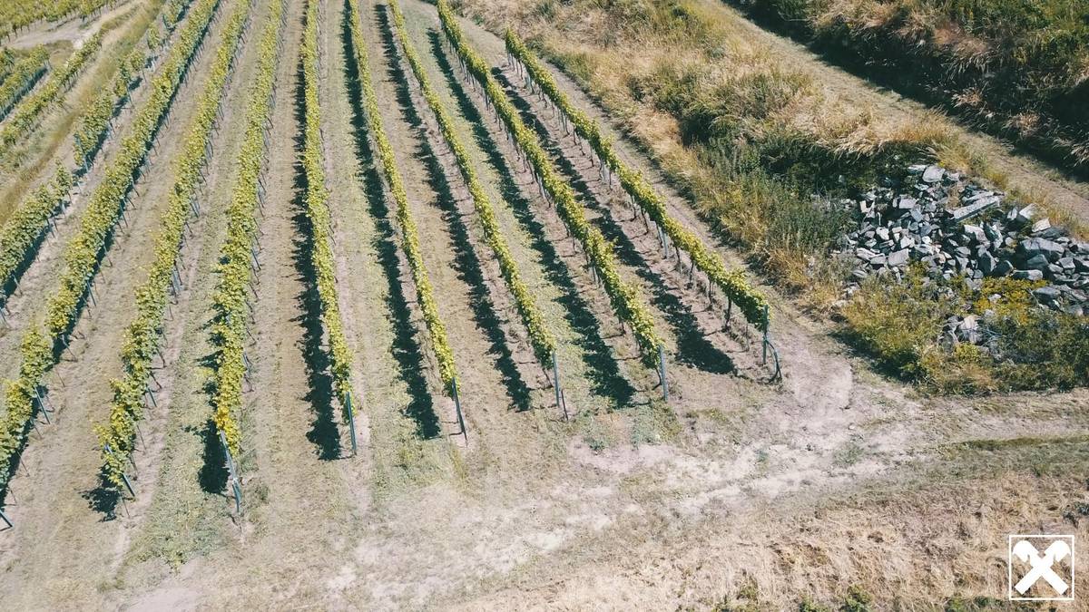 WEINGARTEN IN AUSSICHTSLAGE IM WEINBAUGEBIET WACHAU - WEINGARTEN, LANDWIRTSCHAFTLICHE FLÄCHEN - GRUNDSTÜCK IN DER WACHAU - KEIN BAUGRUNDSTÜCK! - Ansicht 2