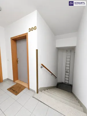 3-Zimmer-Wohnung kaufen in Wien – 72,43 m², € 249.000 – Bild 9 von 10