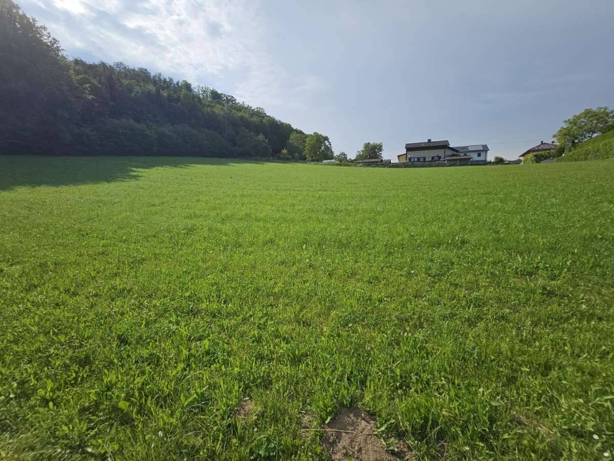 Großzügiges Grundstücksareal für Investoren, Bauträger, privaten Wohnbau – pohled 2