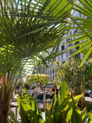Gewerbeimmobilie mieten in Wien – 400 m², € 6.022