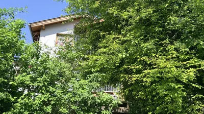 5-Zimmer-Immobilie kaufen in Baden – 154 m², € 649.000 – Bild 29 von 35