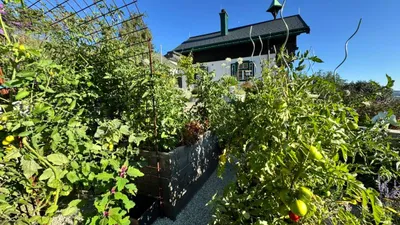 5-Zimmer-Haus kaufen in Wiener Neustadt Land – 141 m², € 518.000 – Bild 41 von 50