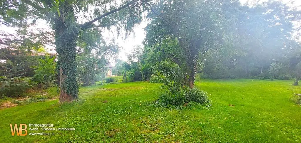 Quadratisches Baugrundstück in absoluter Ruhelage, Herrlicher Altbaumbestand - Ansicht 2