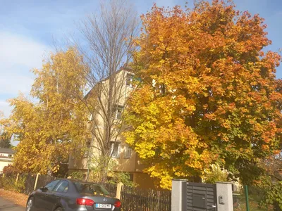 2-Zimmer-Wohnung mieten in Graz – 53 m², € 737 – Bild 4 von 6