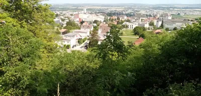 Grundstück kaufen in Eisenstadt – 3 216 m², € 1.195.000 – Bild 2 von 6