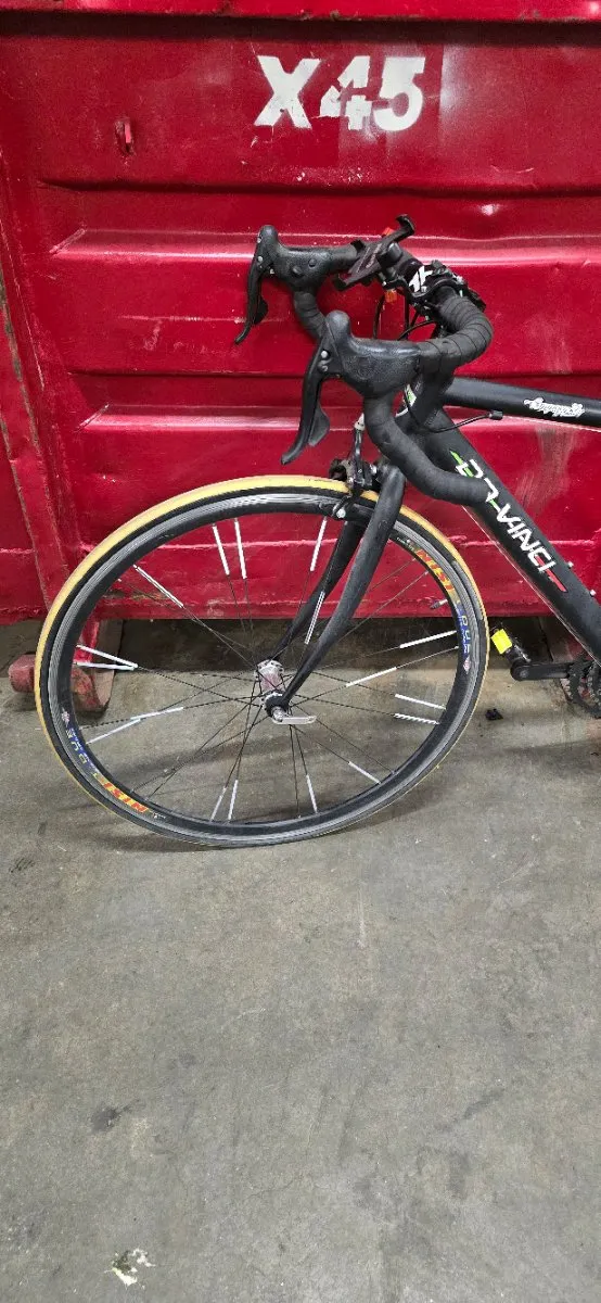 rennrad f moser F Moser Gravel Rival Grn  Auto Savoldelli Srl