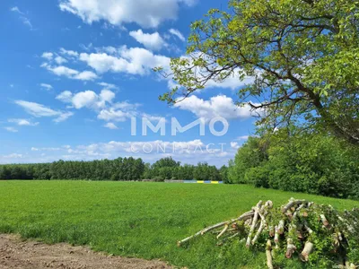 Immobilie kaufen in Amstetten – 4 872 m², € 300.000 – Bild 4 von 9