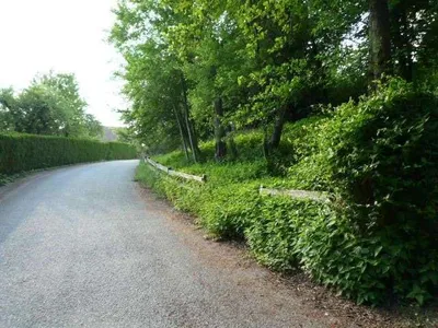 Grundstück kaufen in Schärding – 1 166 m², € 70.000 – Bild 7 von 11