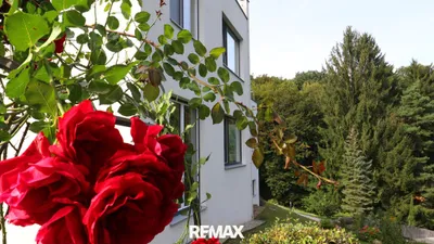 8-Zimmer-Haus kaufen in Sankt Pölten Land – 393,16 m², € 1.570.000 – Bild 7 von 42