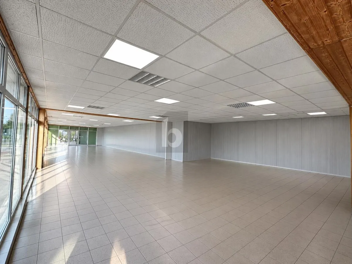 Preisreduktion! INVESTOR GESUCHT: GEWERBEHALLE MIT AUSGEARBEITETEM SPORTPARK-KONZEPT IN OBERÖSTERREICH - Ansicht 3