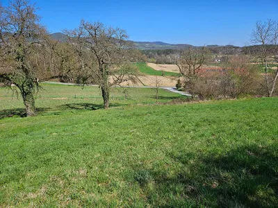 Grundstück kaufen in Hartberg-Fürstenfeld – 1 500 m² – Bild 1 von 3