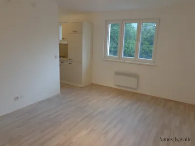 1-Zimmer-Wohnung mieten in Mödling – 30,22 m², € 329 – Bild 4 von 8
