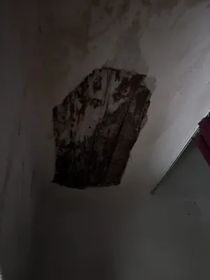 8-Zimmer-Haus kaufen in Scheibbs – 200 m², € 140.000 – Bild 14 von 26