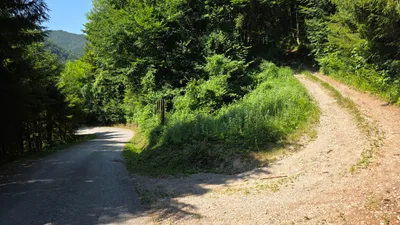 Grundstück kaufen in Scheibbs – 350 000 m², € 515.000 – Bild 3 von 7