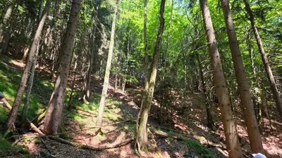 Grundstück kaufen in Scheibbs – 350 000 m², € 515.000 – Bild 7 von 7